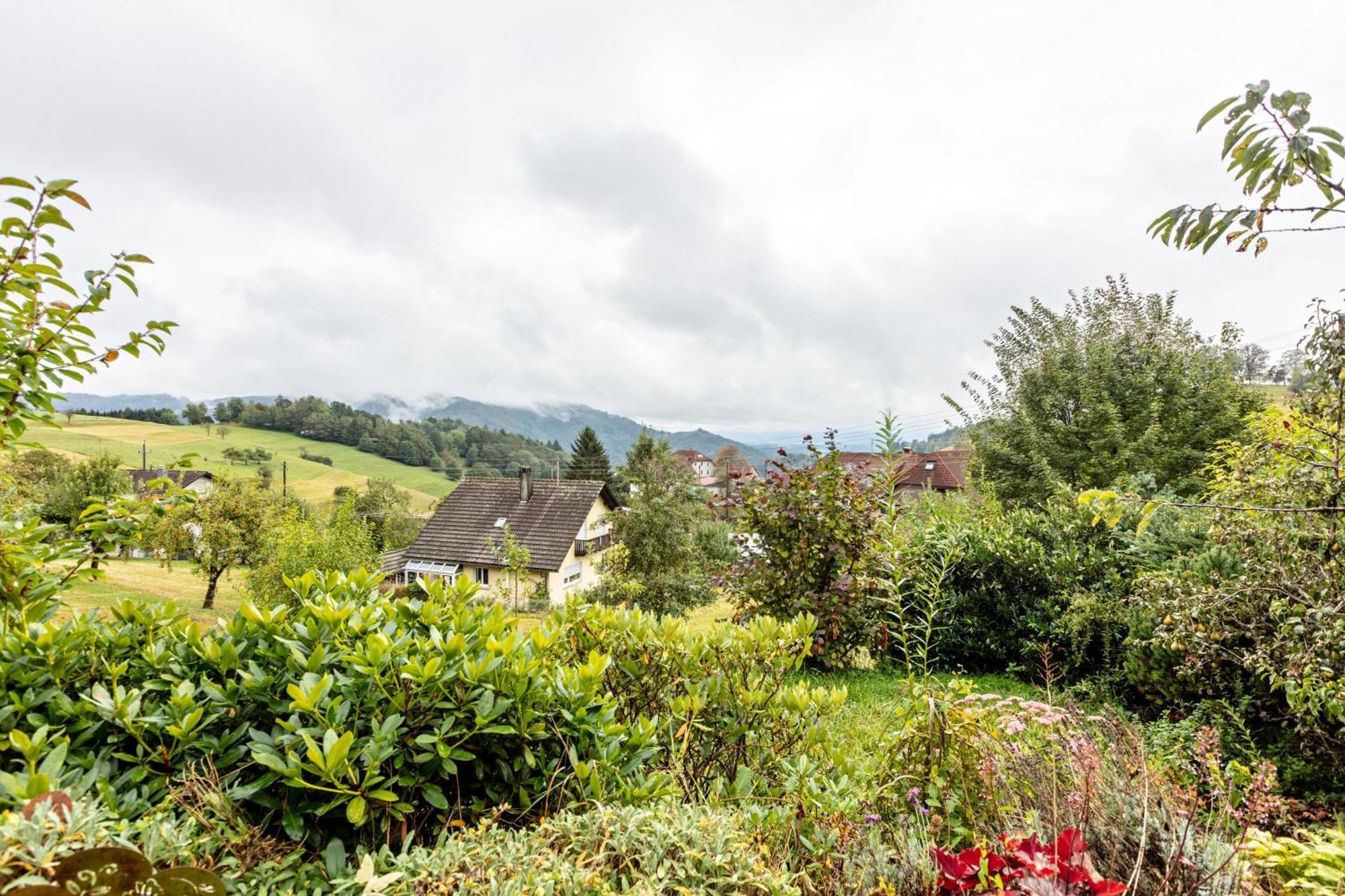 Haus Landblick Apartment Zell im Wiesenthal Exterior foto